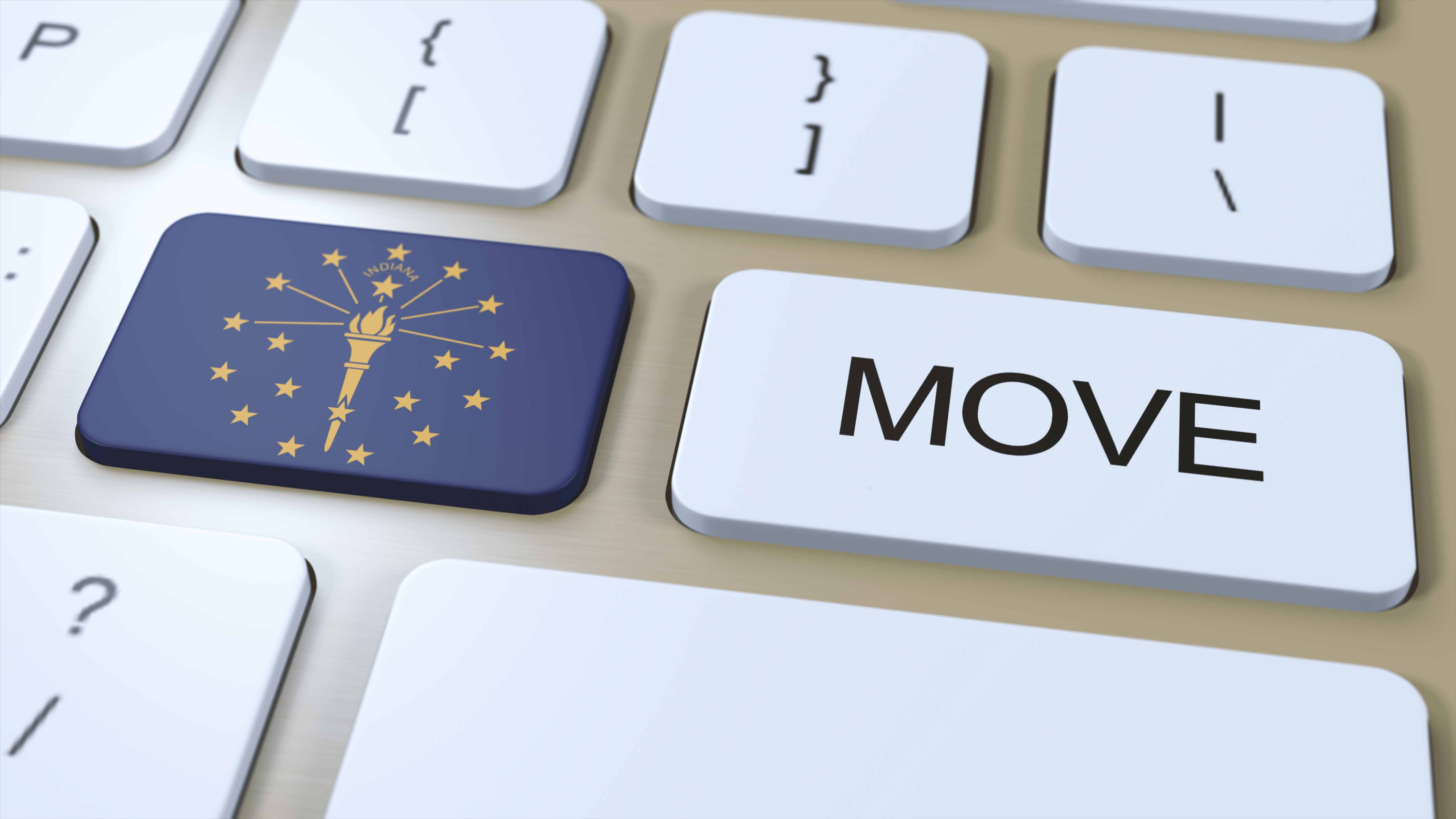 Сравнение ключевых фильмов 2024 года